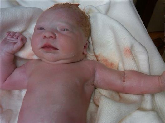 Click for large image