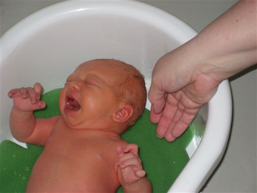 Click for large image