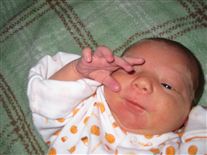 Click for large image