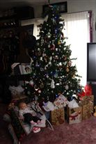 Click for large image