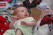 Click for large image